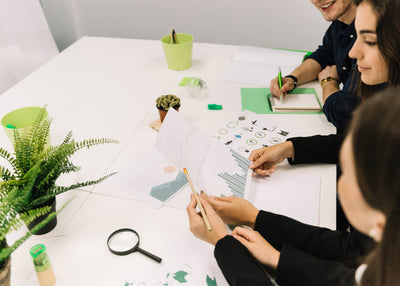 Analyze the Internal and External Environment