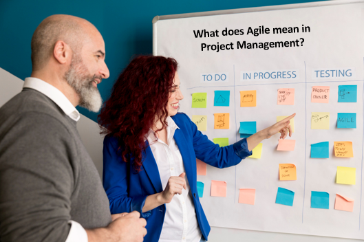 Agile, Agile in Project management, Project Manager