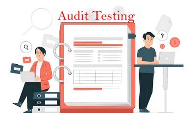Audit Testing
