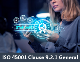 ISO 45001 Clause 9.2.1 General