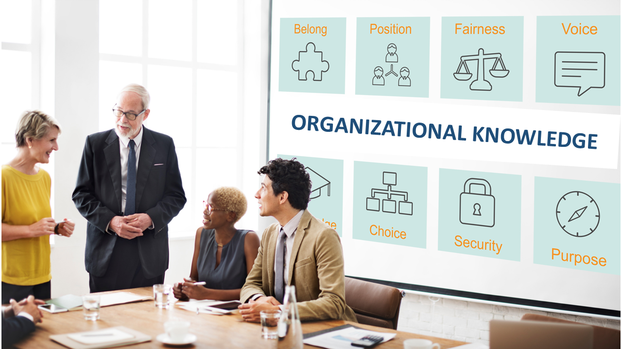 Organizational Knowledge