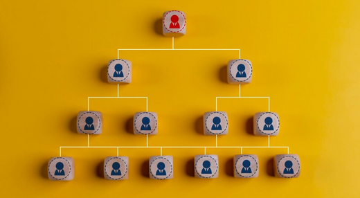 Organisational Structure Template