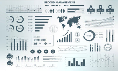 Record Management In IMS (ISO 15489)