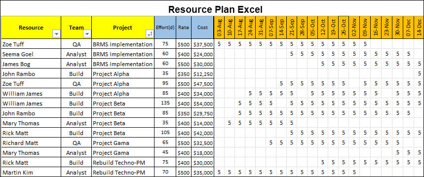 Resource and Capacity Planning 