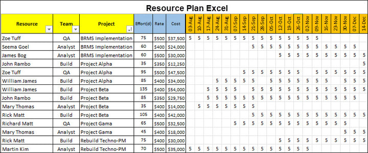 Resource and Capacity Planning 