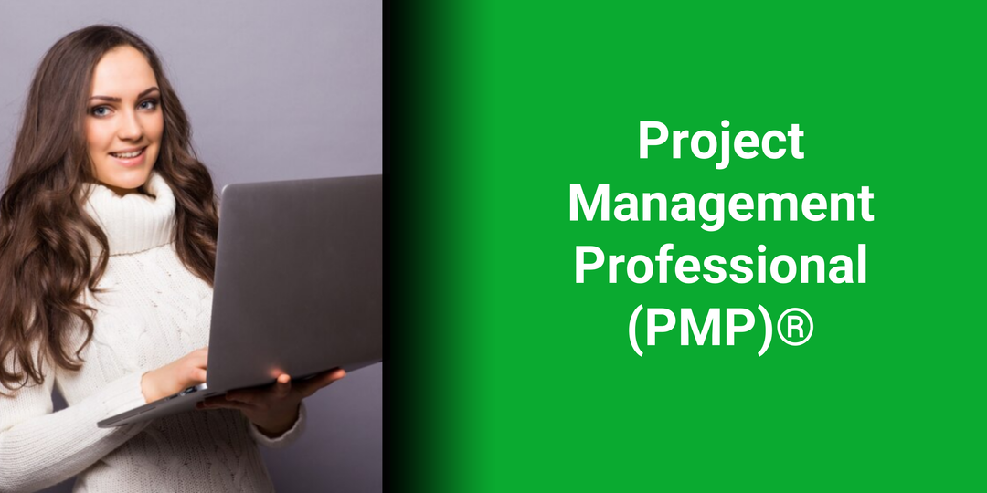 Project Management Professional (PMP)® (online certification) E-Learning