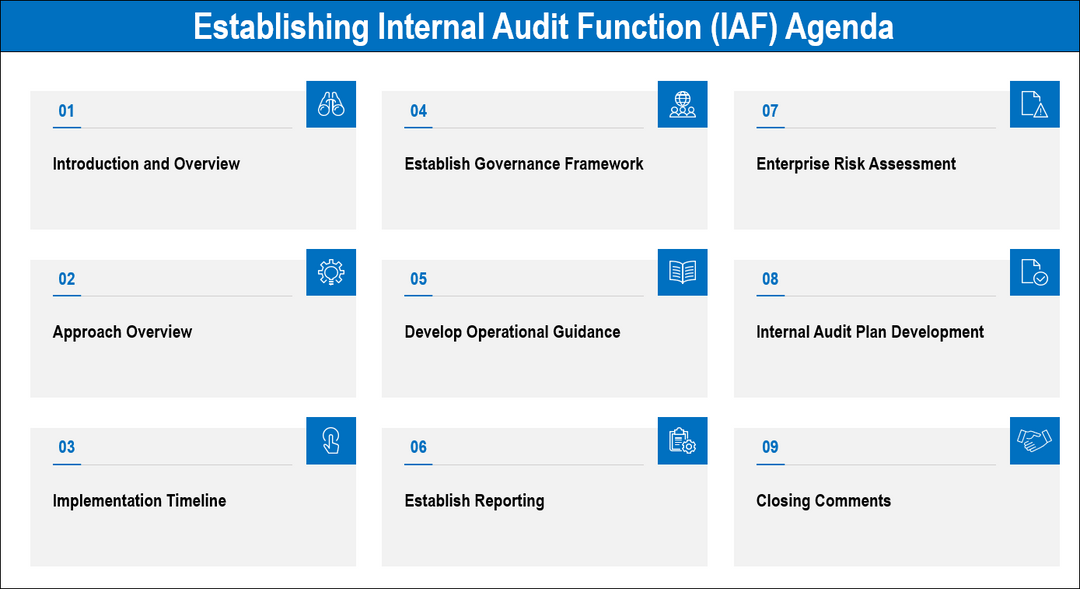 EstablishinganInternalAuditFunction