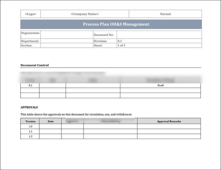 ISO 45001 Process Plan Occupational Health and Saftey Management System Template