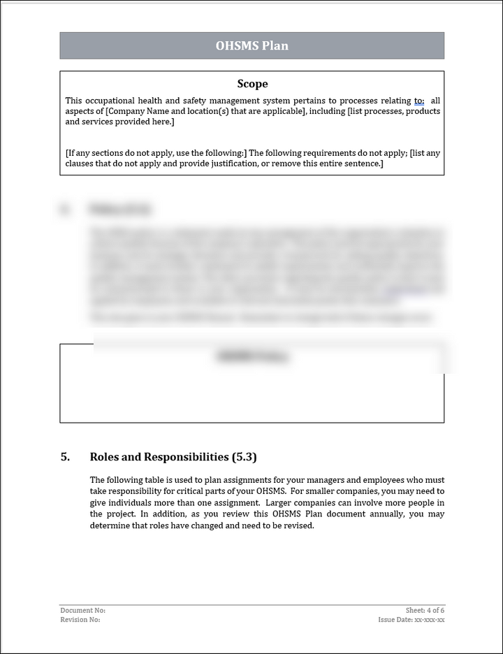 ISO 45001 OHSMS Plan Template