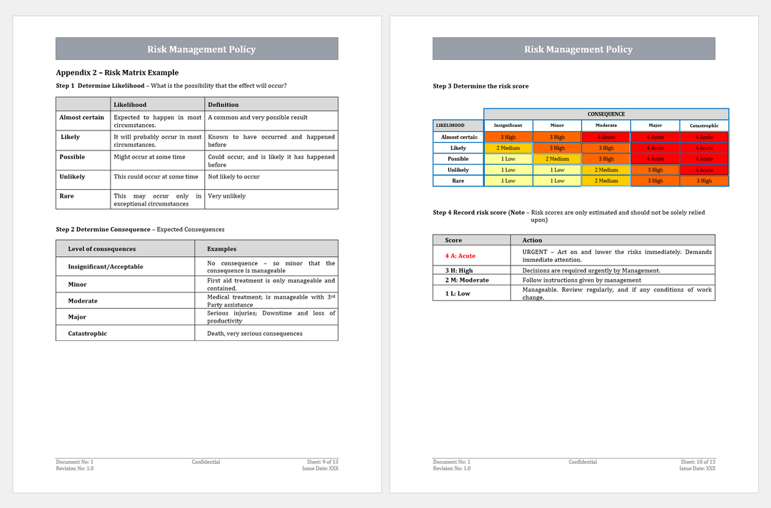 COSO Framework