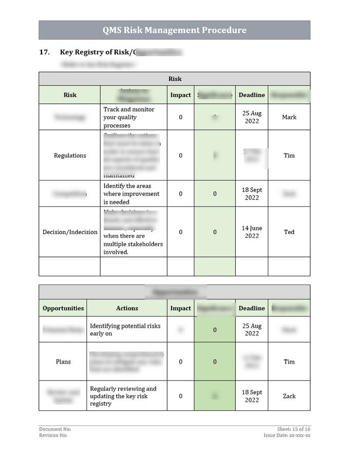 ISO 9001: QMS Risk Management Procedure