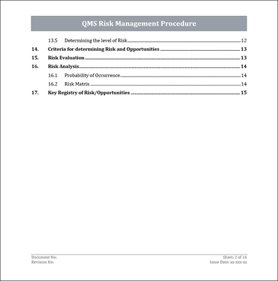 ISO 9001: QMS Risk Management Procedure