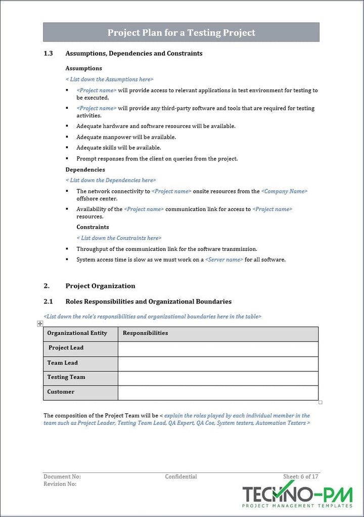 Project Plan for a Testing Project