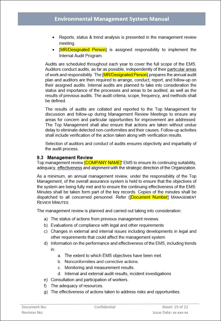 Environment management system, management review