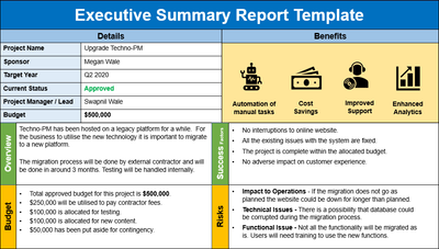 Executive Summary Report Template PPT, Executive Summary Report Template, executive summary report