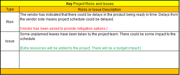 Key Risks and Issues