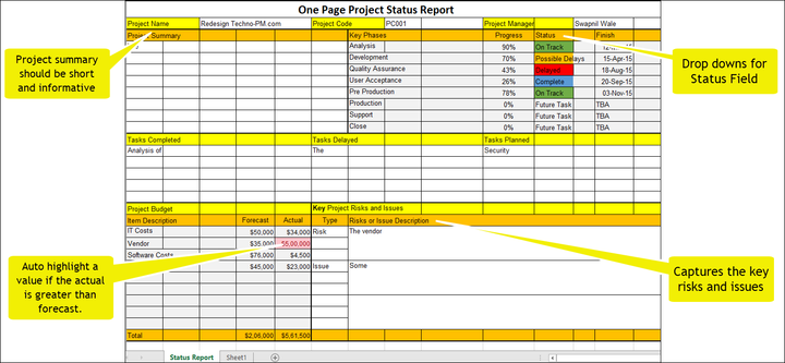 One Page Project Status Report instructions