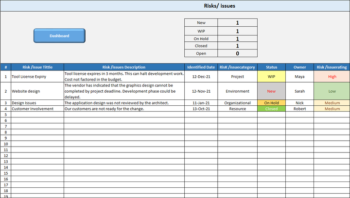 Risk/issues Template