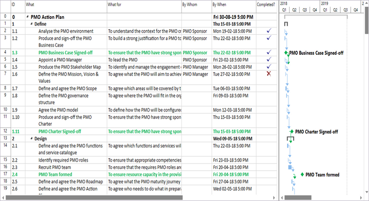 PMO Action Plan MPP Template