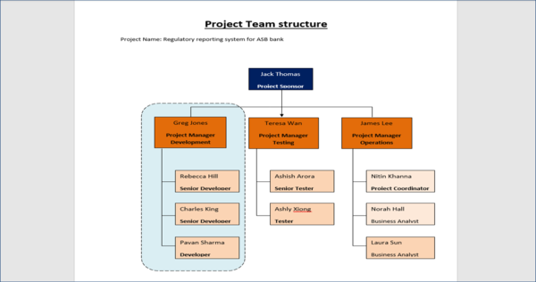 Project Team Structure Template