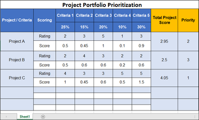 Project Portfolio Prioritization, Project portfolio 