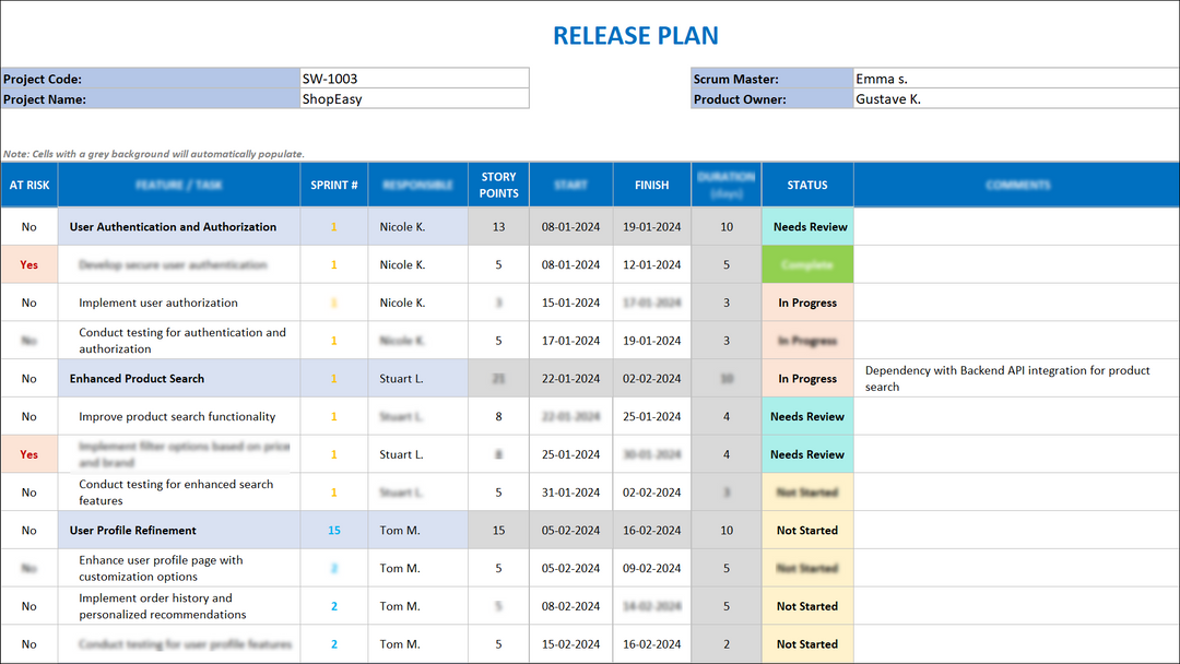 Release Plan Template