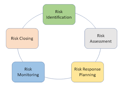 Risk management process