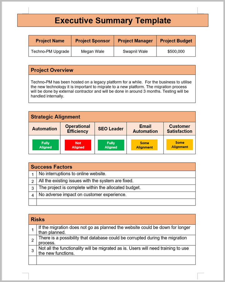 Executive Summary Report