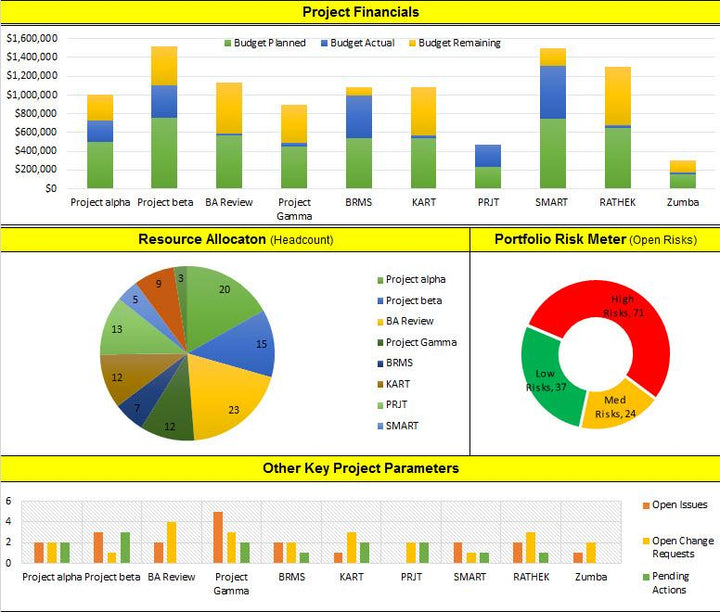 Project Financials 